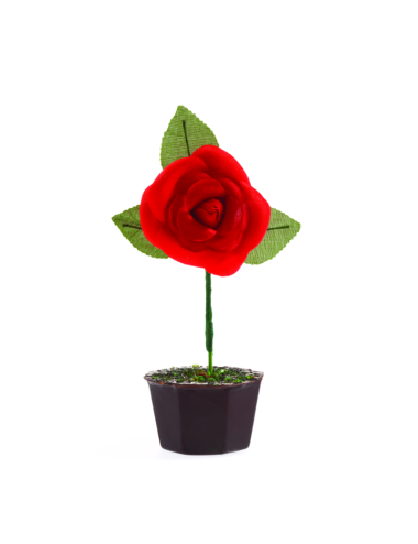 Pot de Rose chocolaté