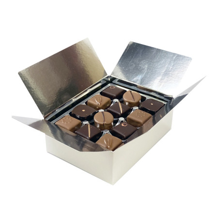 Ballotin chocolats pralinés assortis